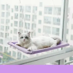 Cat Window Perches & Hammocks