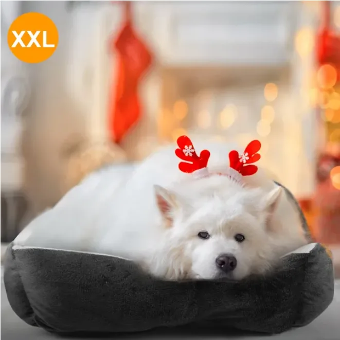 Xxl Rectangular Bolster Dog Bed With Bone Pillow Soft Fleece Sofa Bed